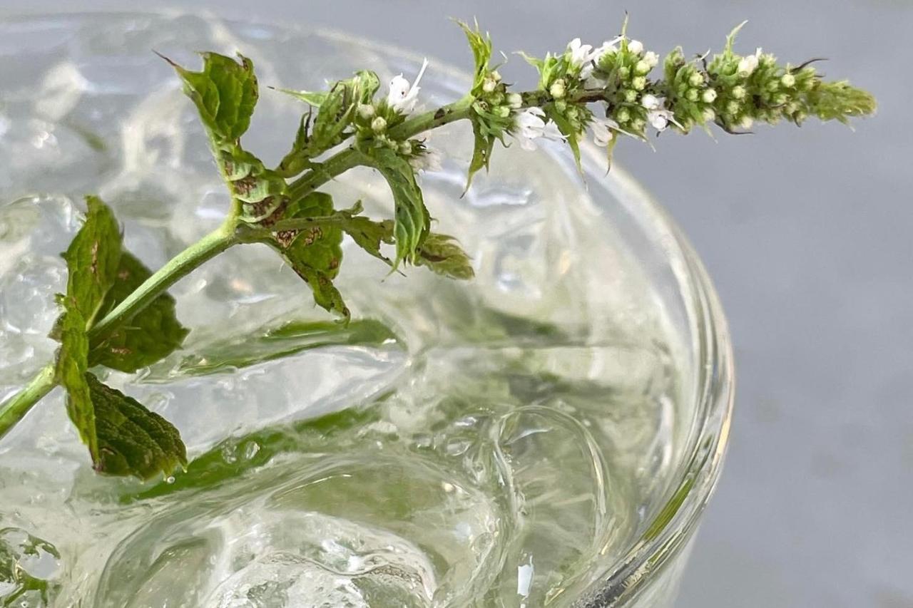 Lucciole Nella Nebbia 호텔 Stellata 외부 사진